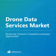 Drone Data Services Market