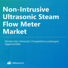 Non-Intrusive Ultrasonic Steam Flow Meter Market